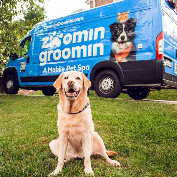 Zoomin Groomin - Mobile Cat & Dog Groomer