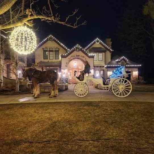 Carriages of Colorado