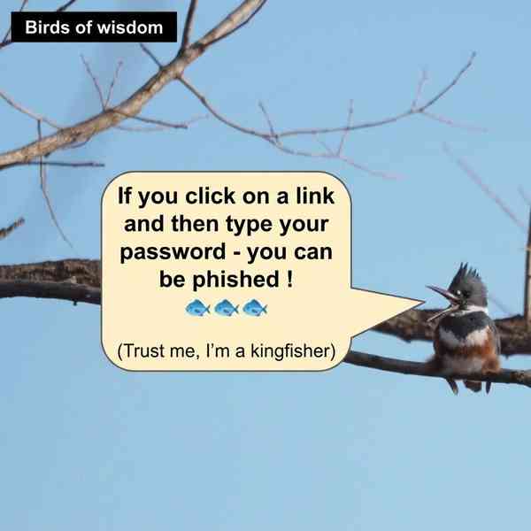 SaferLinks photo 3
