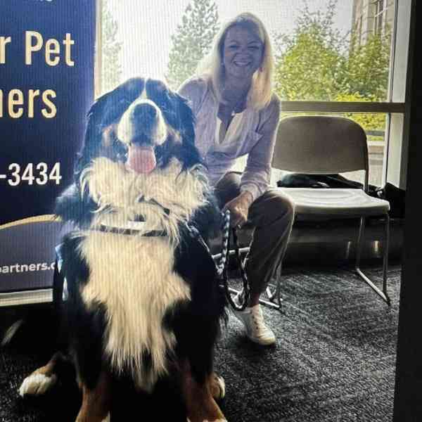 Rango's Restorative Touch Pet Therapy photo 2