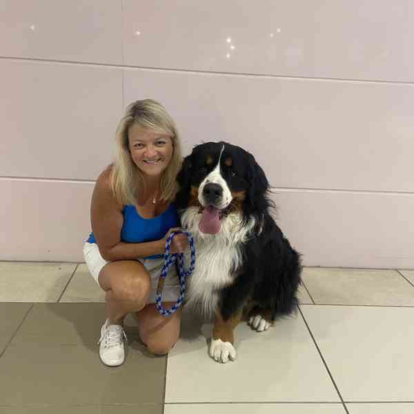 Rango's Restorative Touch Pet Therapy