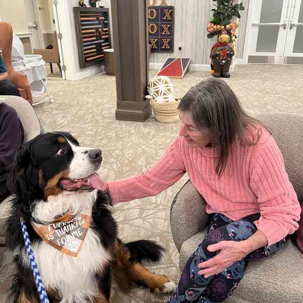 Rango's Restorative Touch Pet Therapy photo 1