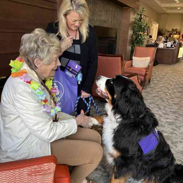 Rango's Restorative Touch Pet Therapy photo 3