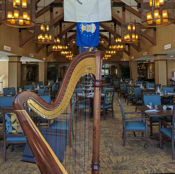 Harpist - Mary Keener photo 2