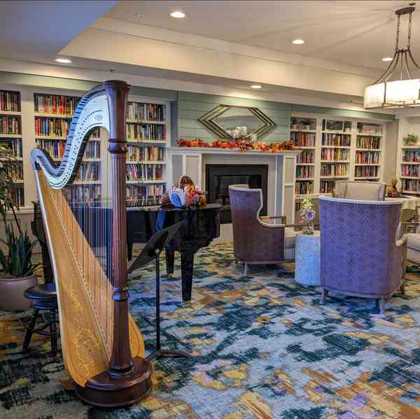 Harpist - Mary Keener photo 3
